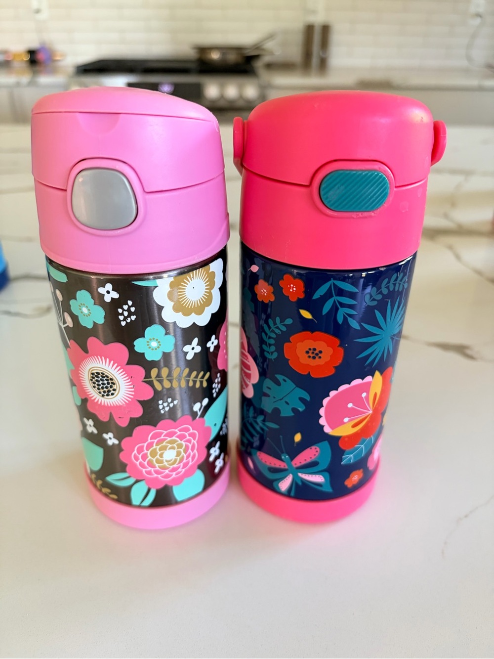 Thermos stainless steels funtainers